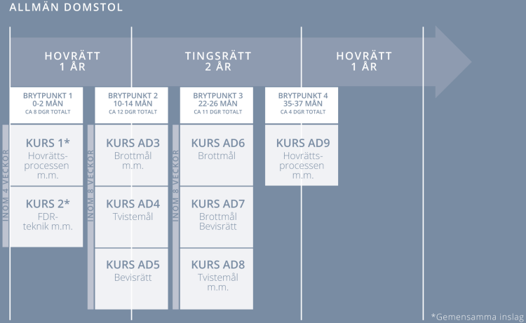 Schematisk bild över fiskalsutbildningen för allmän domstol