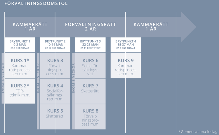 Schematisk bild över fiskalsutbildningen för allmän förvaltningsdomstol