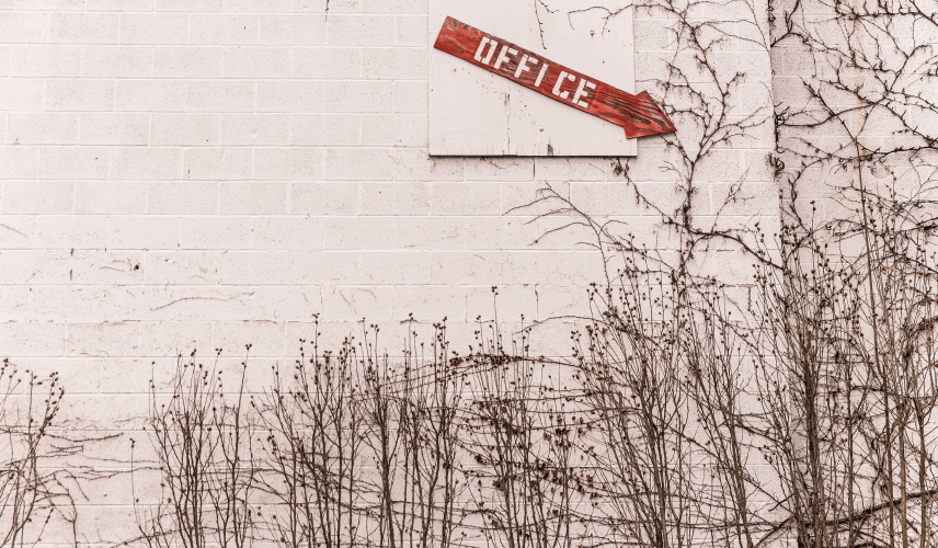 Testbilder från gratisography.com