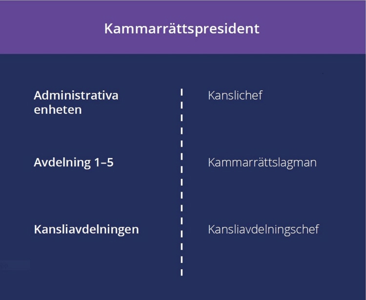 Organisationsbild