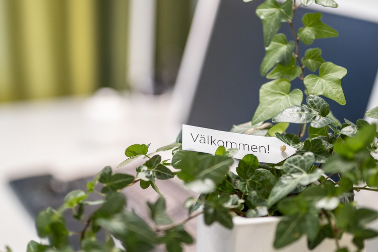 Växt på skrivbord, kort med text "Välkommen!"
