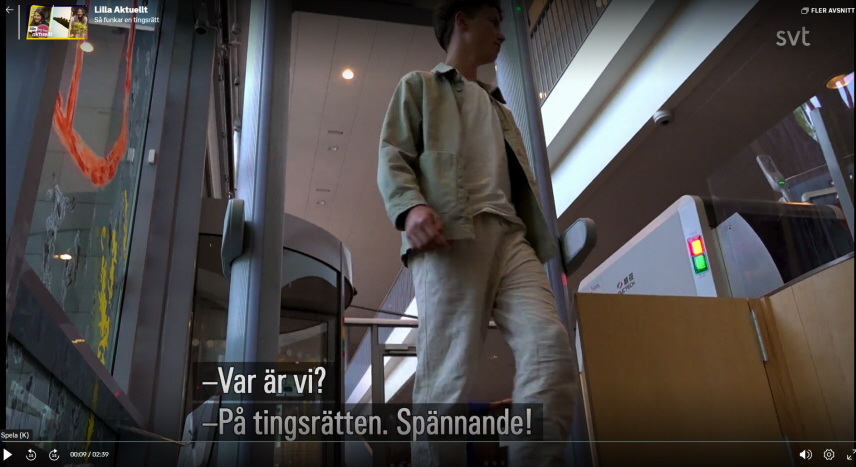 Stillbild från inslaget på Lilla Aktuellt