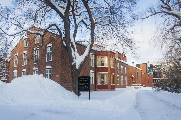 Södra Tjärngatan 2