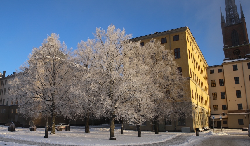 Högsta förvaltningsdomstolen. Foto.