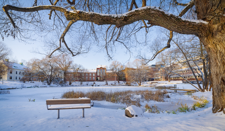 Hovrätten och Kammarrätten i Sundsvall