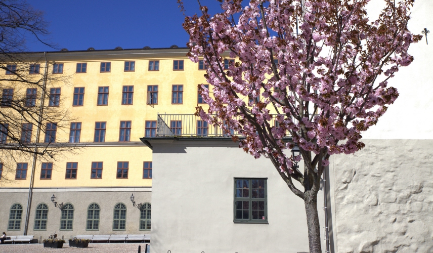 HFD Vår