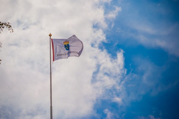 Sveriges Domstolars flagga